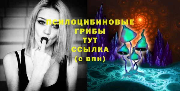 спиды Бронницы