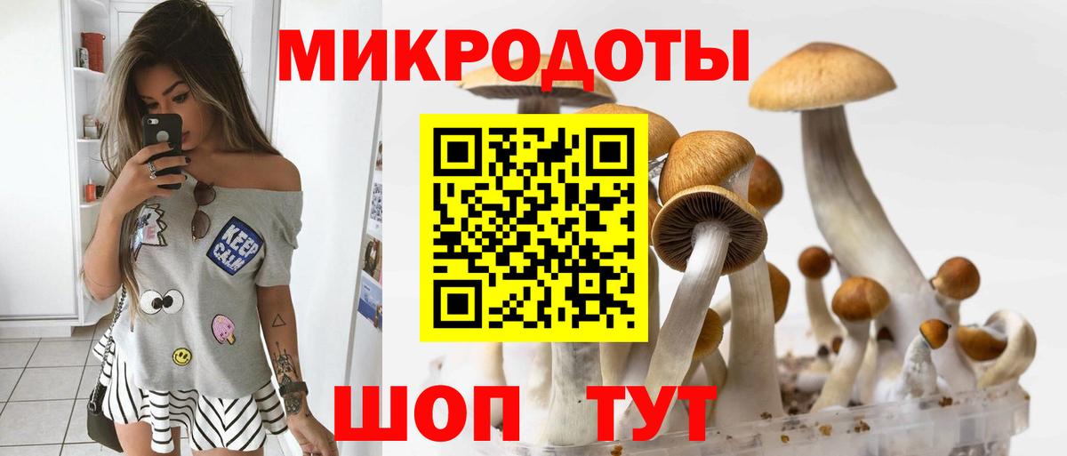 Галлюциногенные грибы мухоморы Нерюнгри
