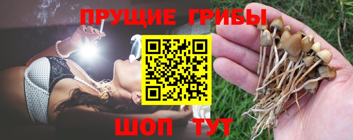 Нерюнгри  Галлюциногенные грибы MAGIC MUSHROOMS  Вход с VPN  Псилоцибиновые грибы MAGIC MUSHROOMS 